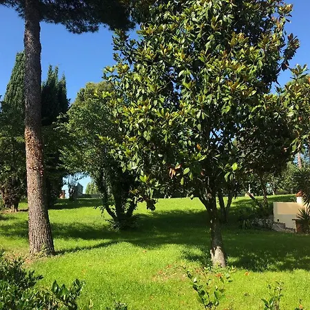 Apartmán Residenza Verdemare